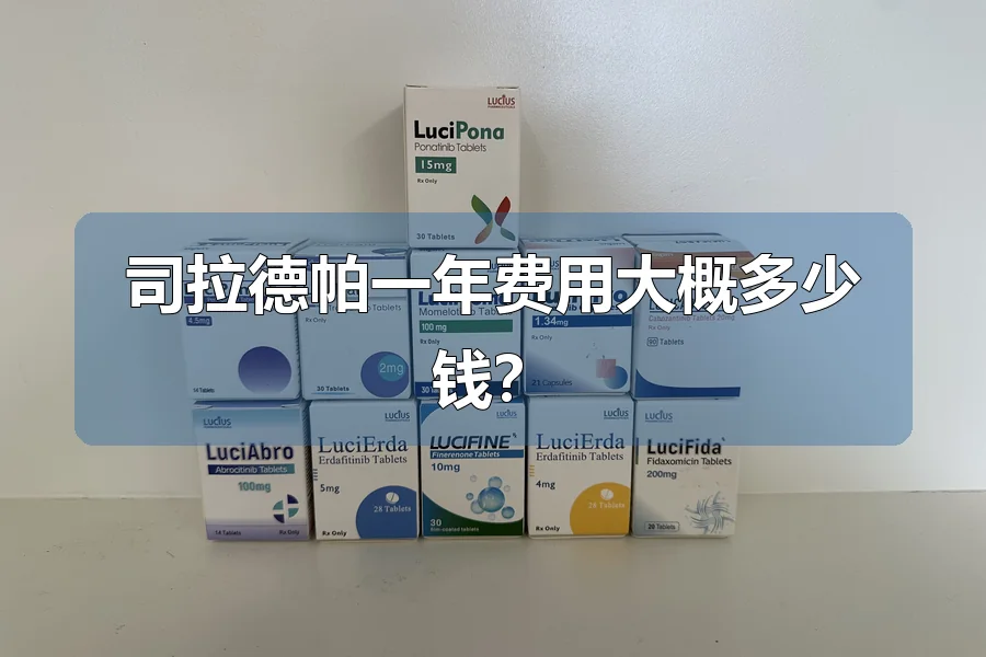 司拉德帕一年费用大概多少钱?